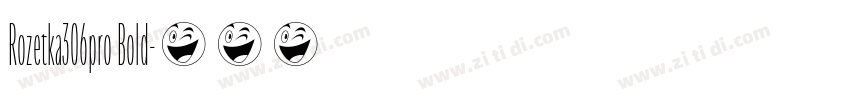 Rozetka306pro Bold字体转换